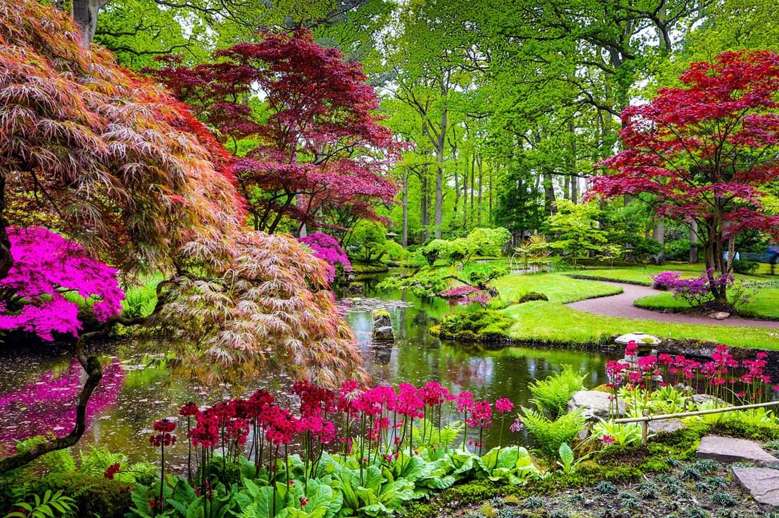 Residential Japanese Gardens Designer | AQL Landscape Design